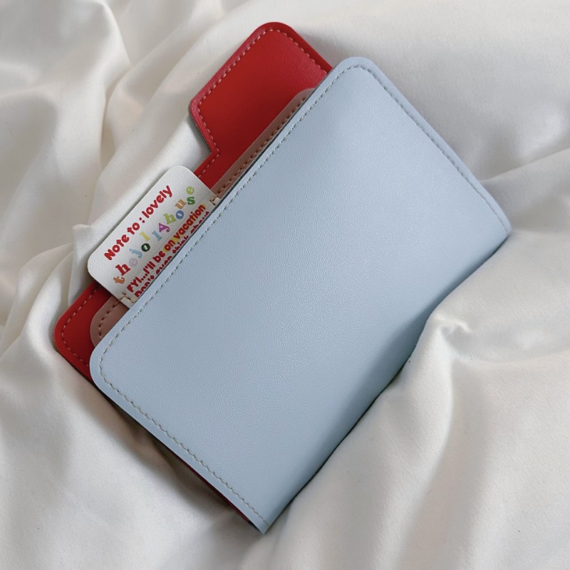 Porta passaporto Ins Color Blo - Travel Accessories Pouch For Women recensione e prezzo